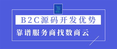 选择b2c商城系统源码定制开发优势何在 b2c平台源码靠谱服务商找数商云